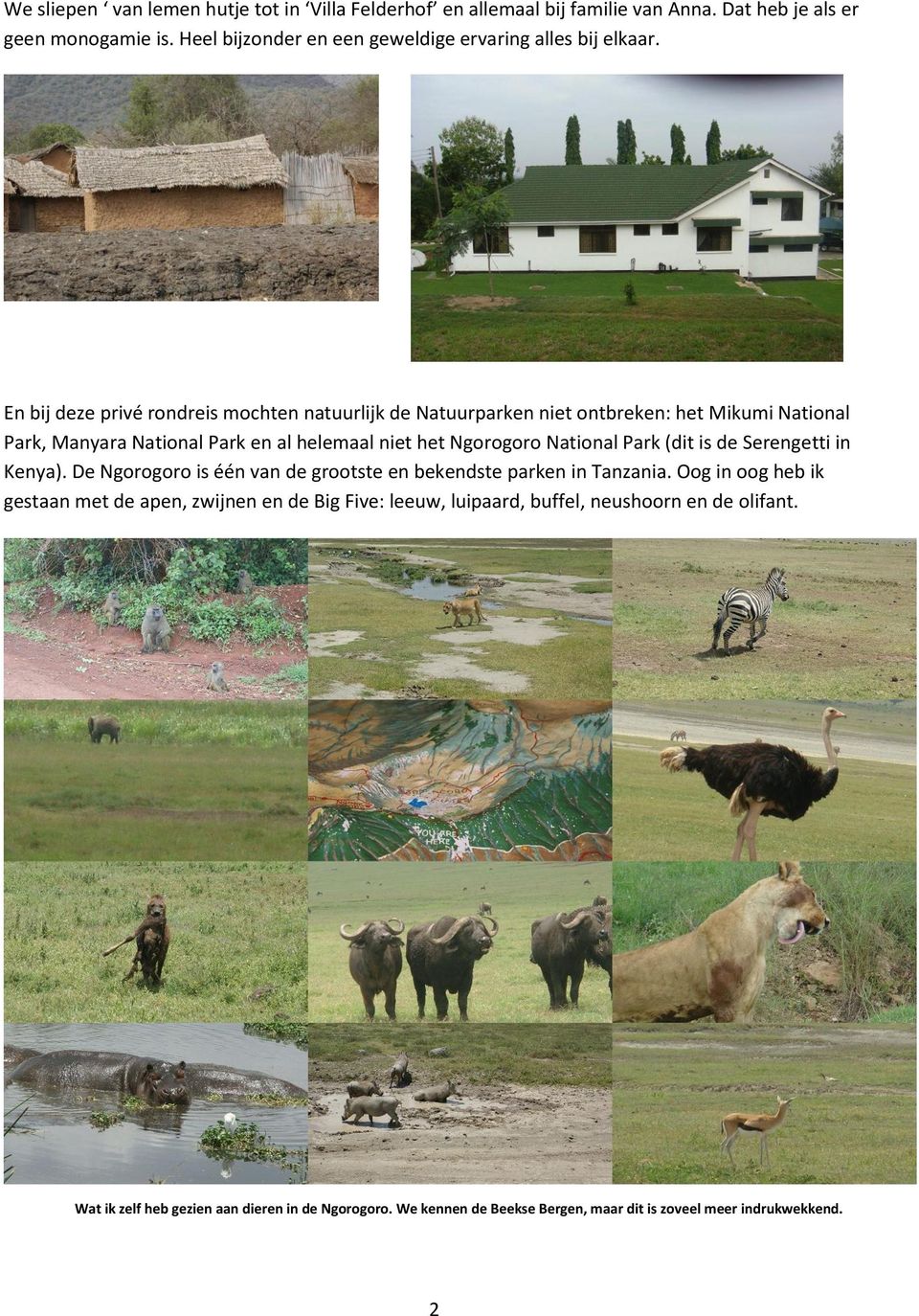 En bij deze privé rondreis mochten natuurlijk de Natuurparken niet ontbreken: het Mikumi National Park, Manyara National Park en al helemaal niet het Ngorogoro National