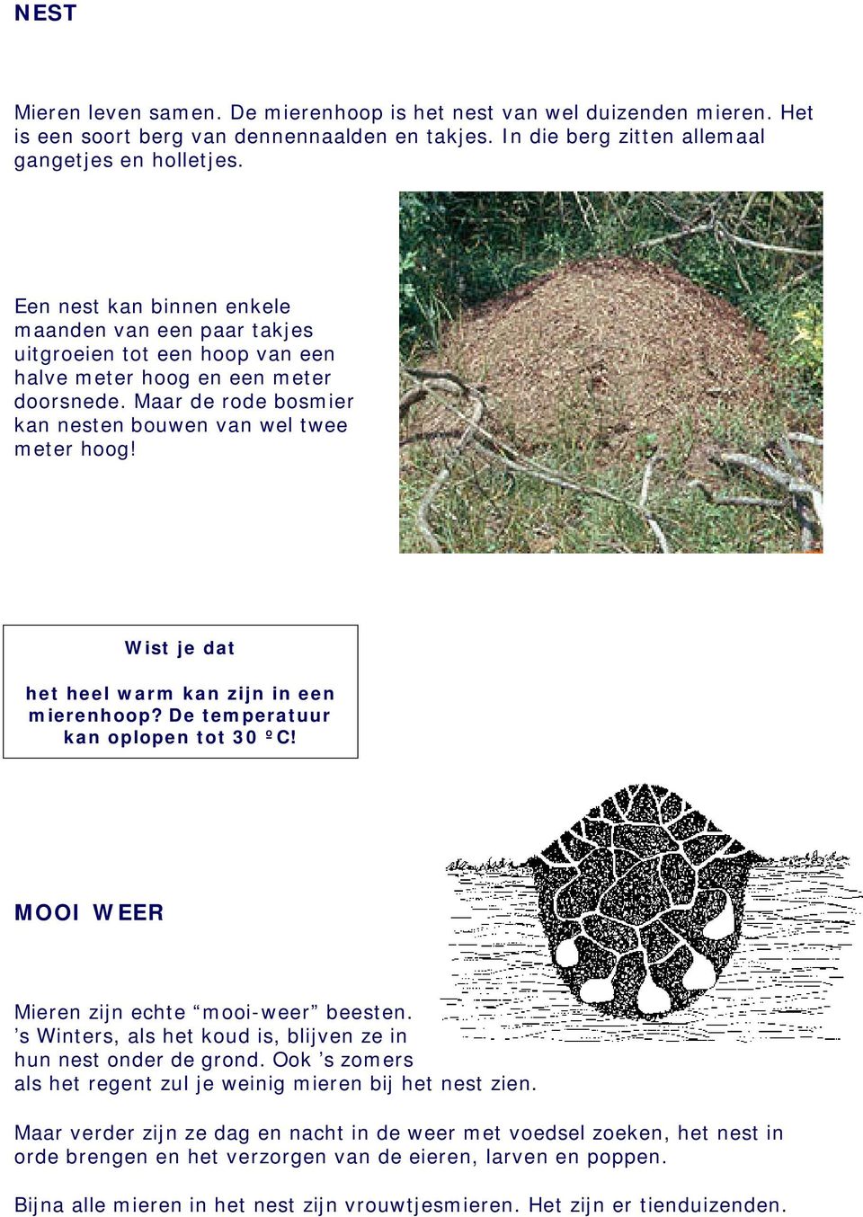 het heel warm kan zijn in een mierenhoop? De temperatuur kan oplopen tot 30 ºC! MOOI WEER Mieren zijn echte mooi-weer beesten. s Winters, als het koud is, blijven ze in hun nest onder de grond.