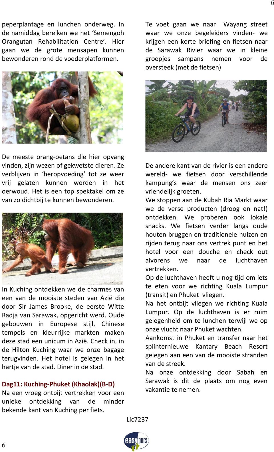 fietsen) De meeste orang-oetans die hier opvang vinden, zijn wezen of gekwetste dieren. Ze verblijven in heropvoeding tot ze weer vrij gelaten kunnen worden in het oerwoud.