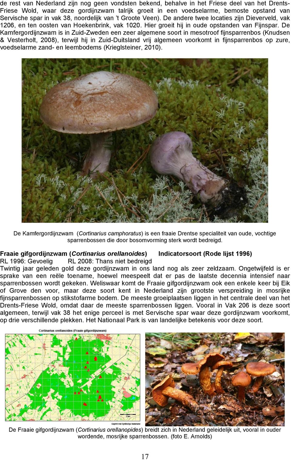 De Kamfergordijnzwam is in Zuid-Zweden een zeer algemene soort in mesotroof fijnsparrenbos (Knudsen & Vesterholt, 2008), terwijl hij in Zuid-Duitsland vrij algemeen voorkomt in fijnsparrenbos op