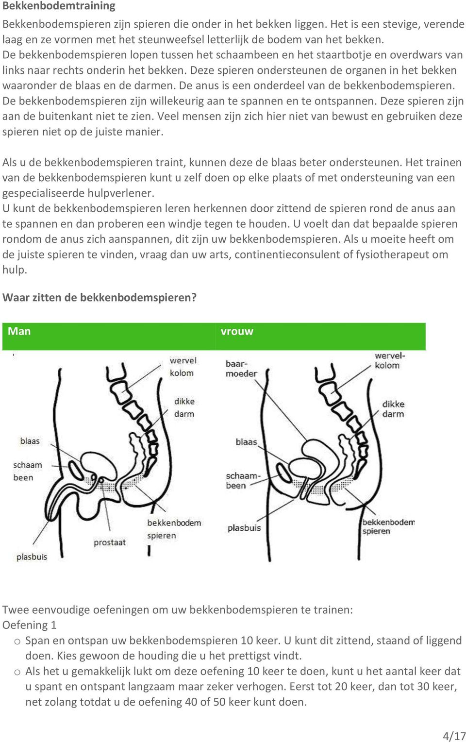 Deze spieren ondersteunen de organen in het bekken waaronder de blaas en de darmen. De anus is een onderdeel van de bekkenbodemspieren.