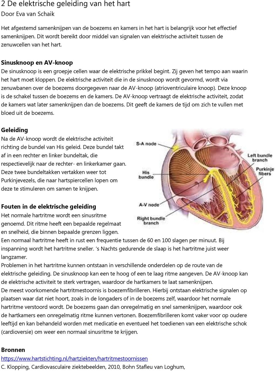 Zij geven het tempo aan waarin het hart moet kloppen.