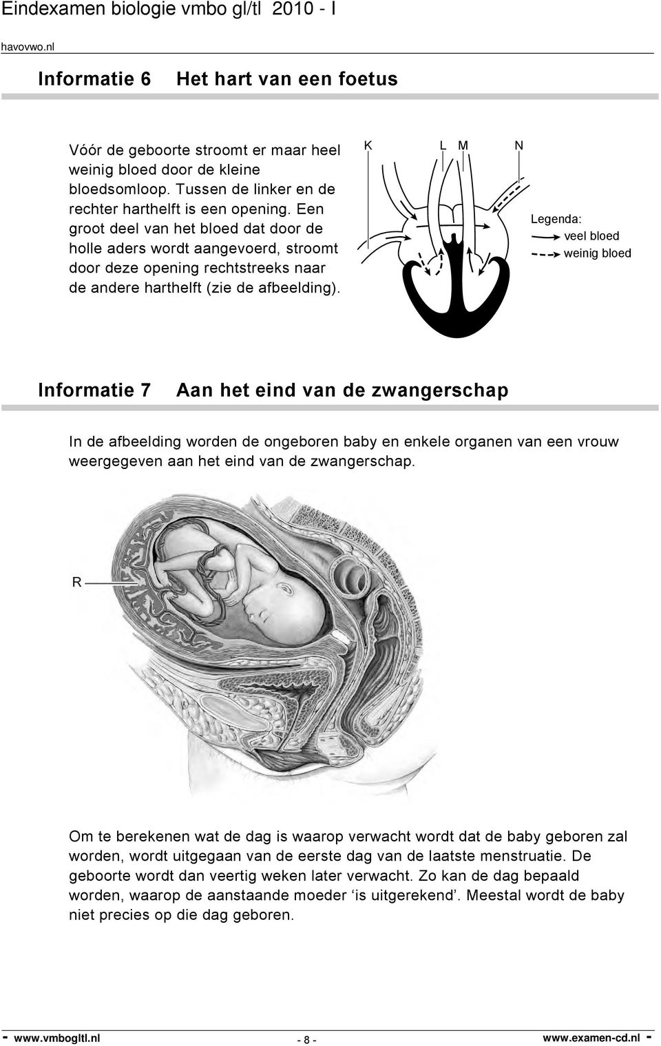 K L M N Legenda: veel bloed weinig bloed Informatie Aan het eind van de zwangerschap In de afbeelding worden de ongeboren baby en enkele organen van een vrouw weergegeven aan het eind van de