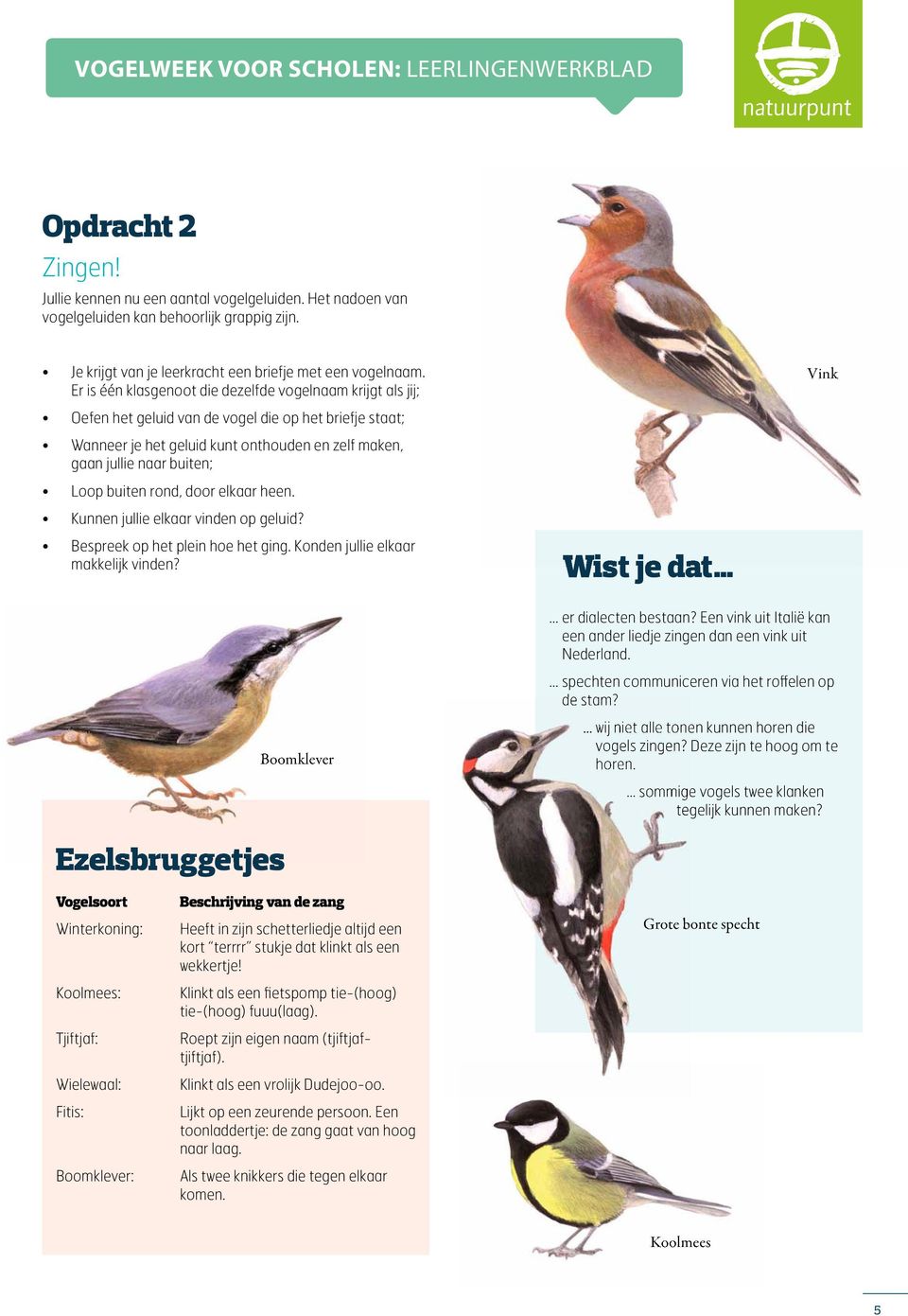 Er is één klasgenoot die dezelfde vogelnaam krijgt als jij; Oefen het geluid van de vogel die op het briefje staat; Wanneer je het geluid kunt onthouden en zelf maken, gaan jullie naar buiten; Loop