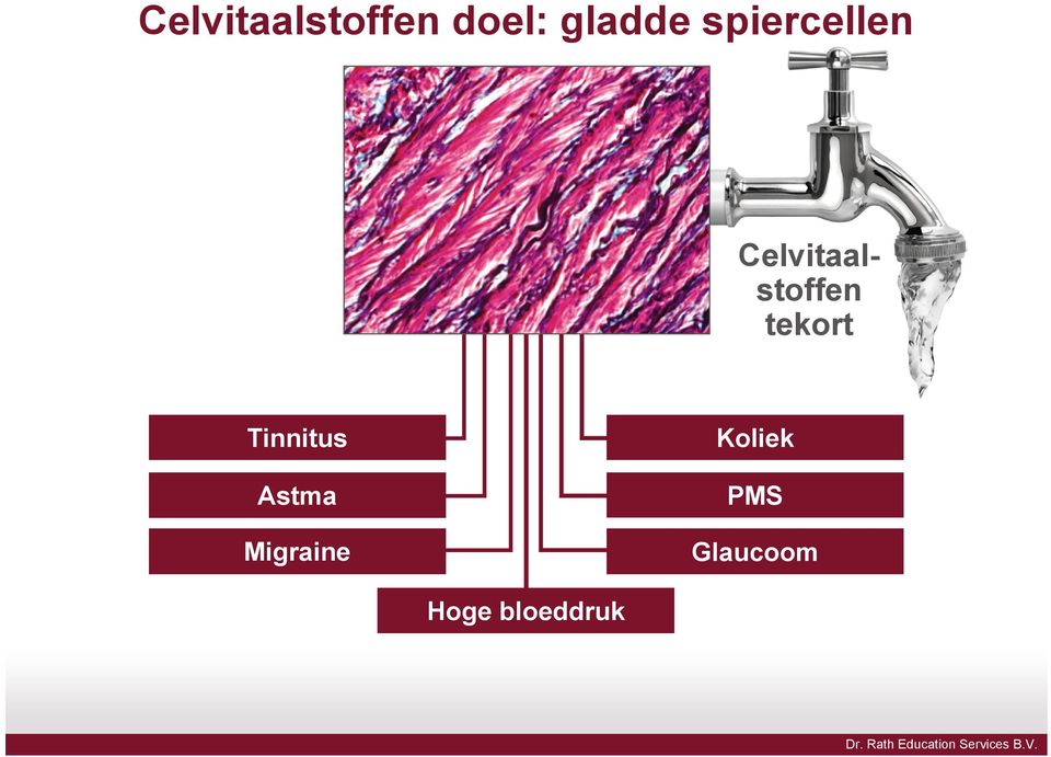 tekort Tinnitus Astma Migraine