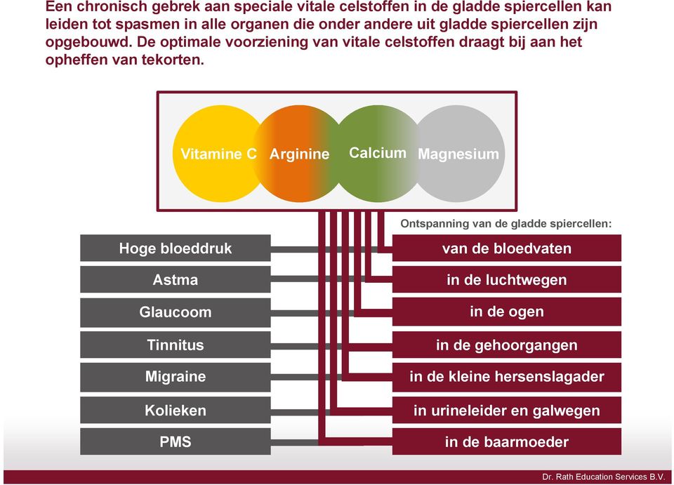 Vitamine C Arginine Calcium Magnesium Ontspanning van de gladde spiercellen: Hoge bloeddruk Astma Glaucoom Tinnitus Migraine Kolieken
