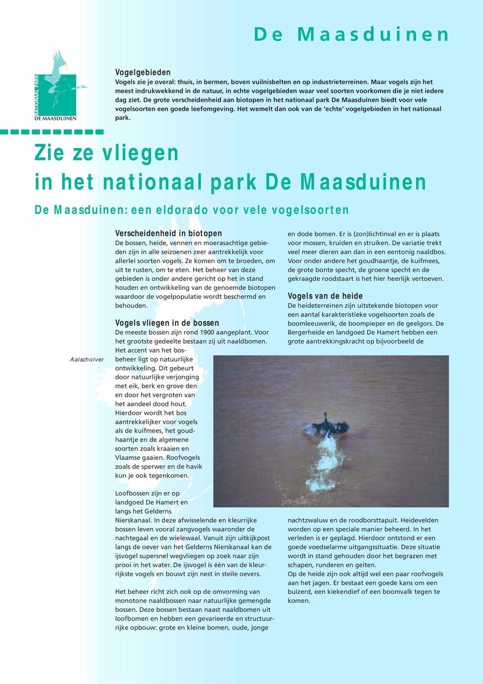 De grote verscheidenheid aan biotopen in het nationaal park De Maasduinen biedt voor vele vogelsoorten een goede leefomgeving. Het wemelt dan ook van de echte vogelgebieden in het nationaal park.