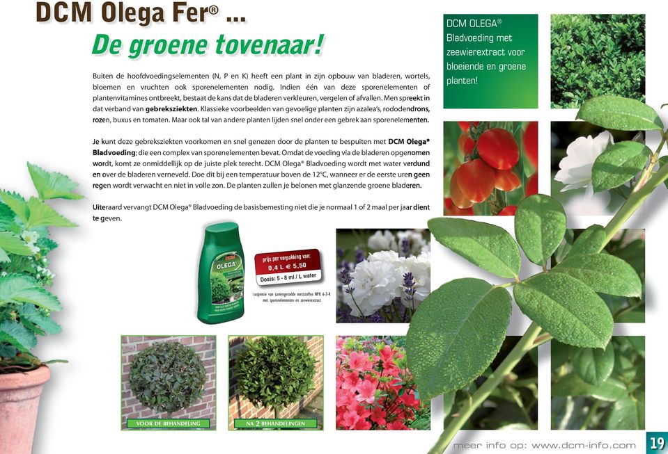 Klassieke voorbeelden van gevoelige planten zijn azalea s, rododendrons, rozen, buxus en tomaten. Maar ook tal van andere planten lijden snel onder een gebrek aan sporenelementen.