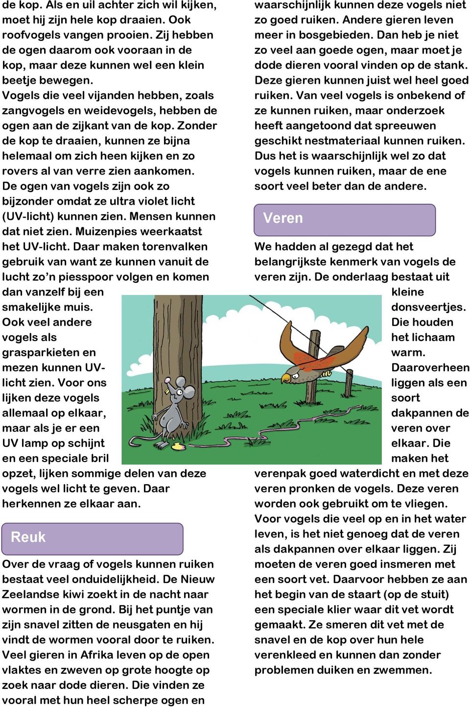 Vogels die veel vijanden hebben, zoals zangvogels en weidevogels, hebben de ogen aan de zijkant van de kop.