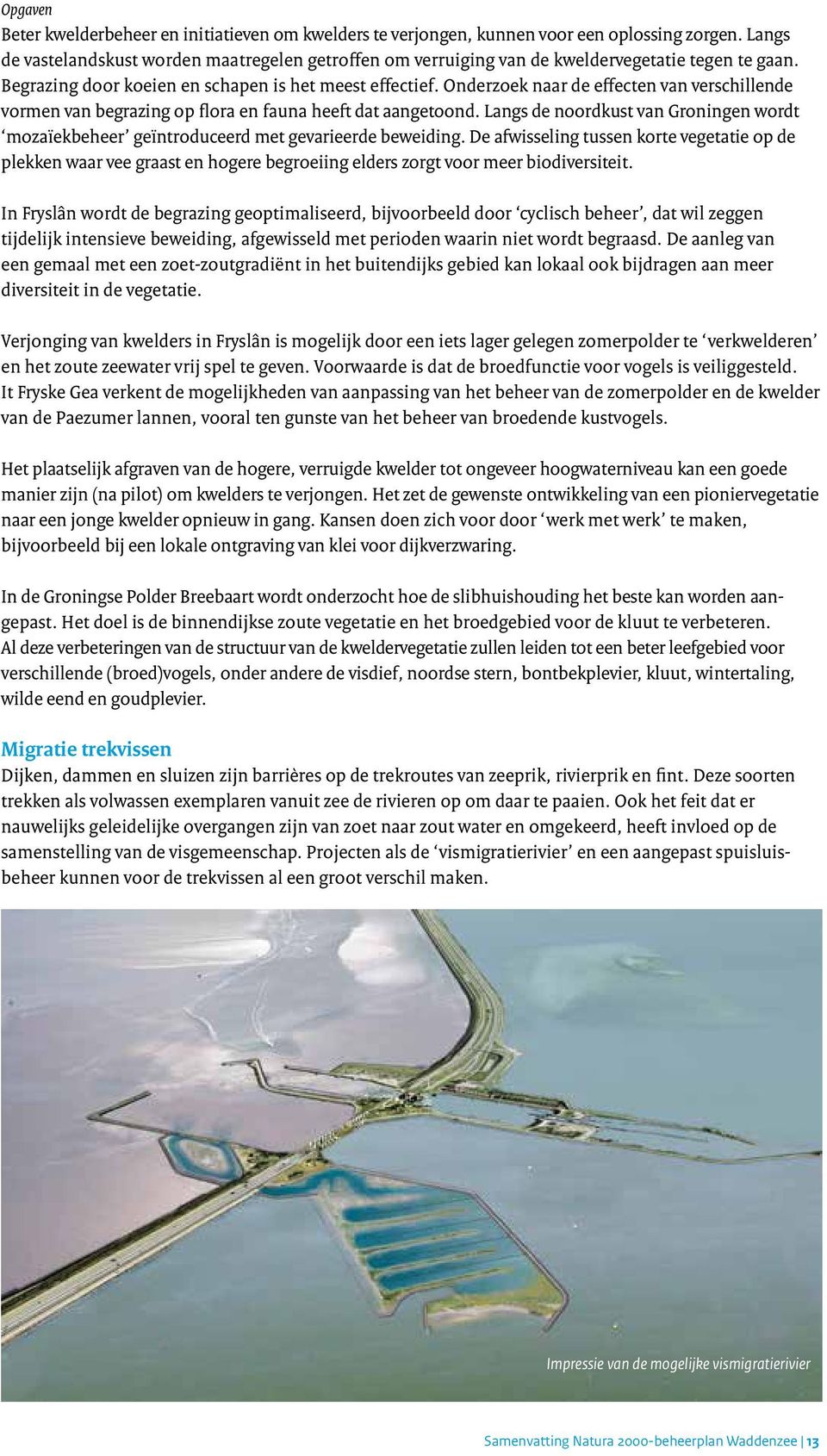 Onderzoek naar de effecten van verschillende vormen van begrazing op flora en fauna heeft dat aangetoond. Langs de noordkust van Groningen wordt mozaïekbeheer geïntroduceerd met gevarieerde beweiding.