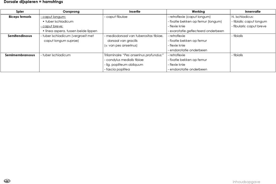 van tuberositas tibiae, - retroflexie - tibialis caput longum suprae) dorsaal van gracilis ( van pes anserinus) - fixatie bekken op femur - flexie knie - endorotatie onderbeen Semimembranosus - tuber