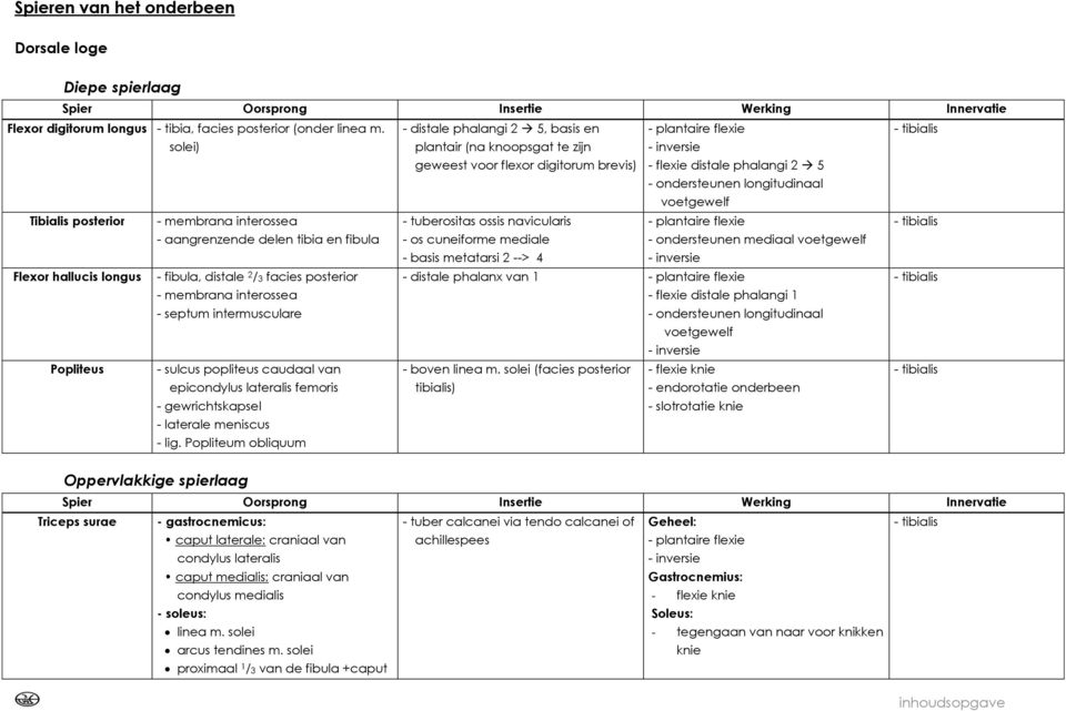 longitudinaal voetgewelf Tibialis posterior - membrana interossea - tuberositas ossis navicularis - plantaire flexie - tibialis - aangrenzende delen tibia en fibula - os cuneiforme mediale - basis