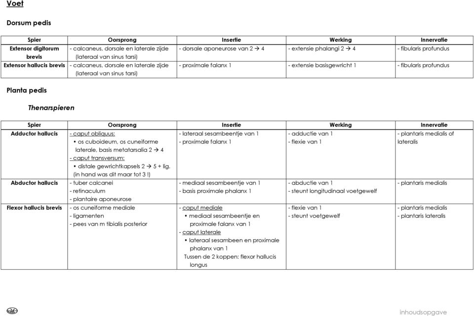 caput obliquus: os cuboideum, os cuneiforme - lateraal sesambeentje van 1 - proximale falanx 1 - adductie van 1 - flexie van 1 - plantaris medialis of lateralis laterale, basis metatarsalia 2 4 -