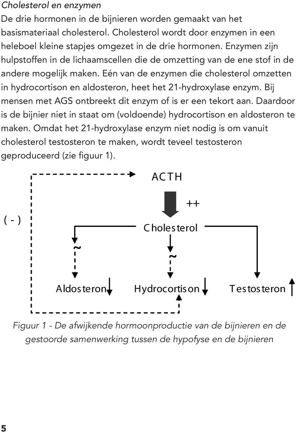 Eén van de enzymen die cholesterol omzetten in hydrocortison en aldosteron, heet het 21-hydroxylase enzym. Bij mensen met AGS ontbreekt dit enzym of is er een tekort aan.