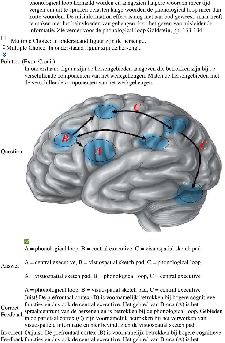 Zie verder voor de phonological loop Goldstein, pp. 133-134. Multiple Choice: In onderstaand figuur zijn de herseng.