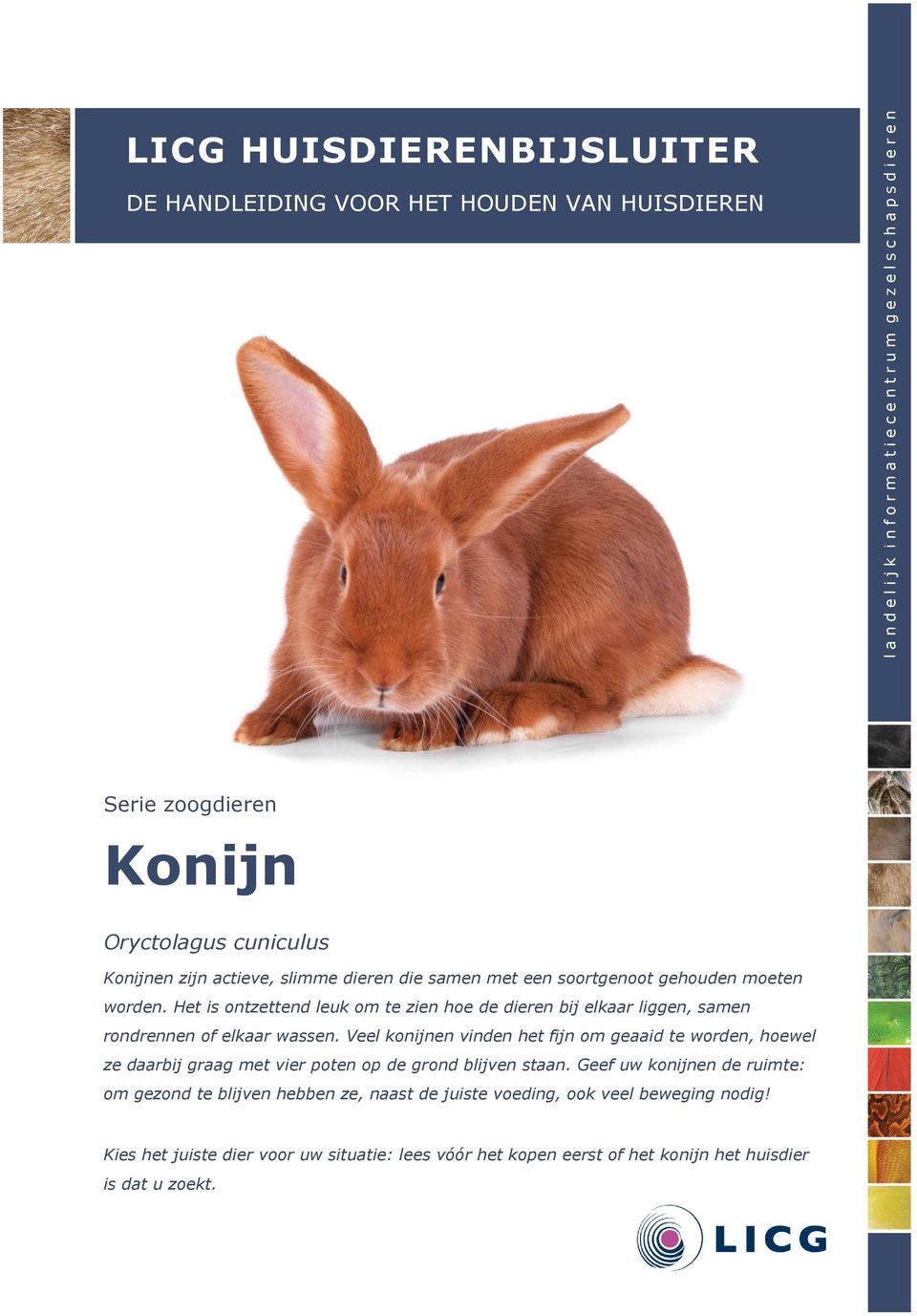 Het is ontzettend leuk om te zien hoe de dieren bij elkaar liggen, samen rondrennen of elkaar wassen.