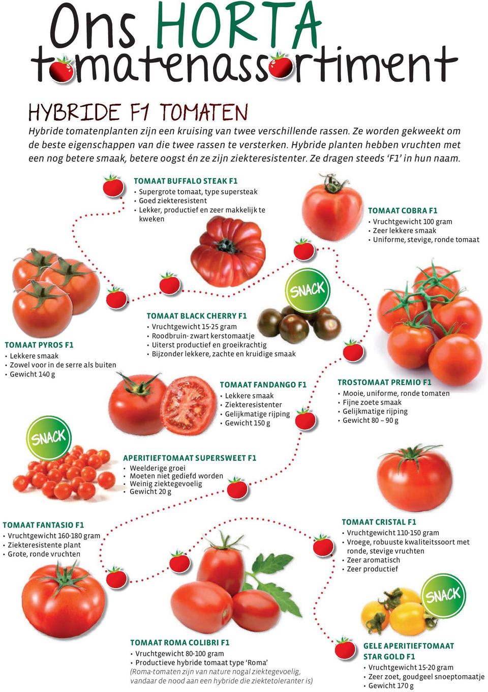 TOMAAT BUFFALO STEAK F1 Supergrote tomaat, type supersteak Goed ziekteresistent Lekker, productief en zeer makkelijk te kweken TOMAAT COBRA F1 Vruchtgewicht 100 gram Zeer lekkere smaak Uniforme,