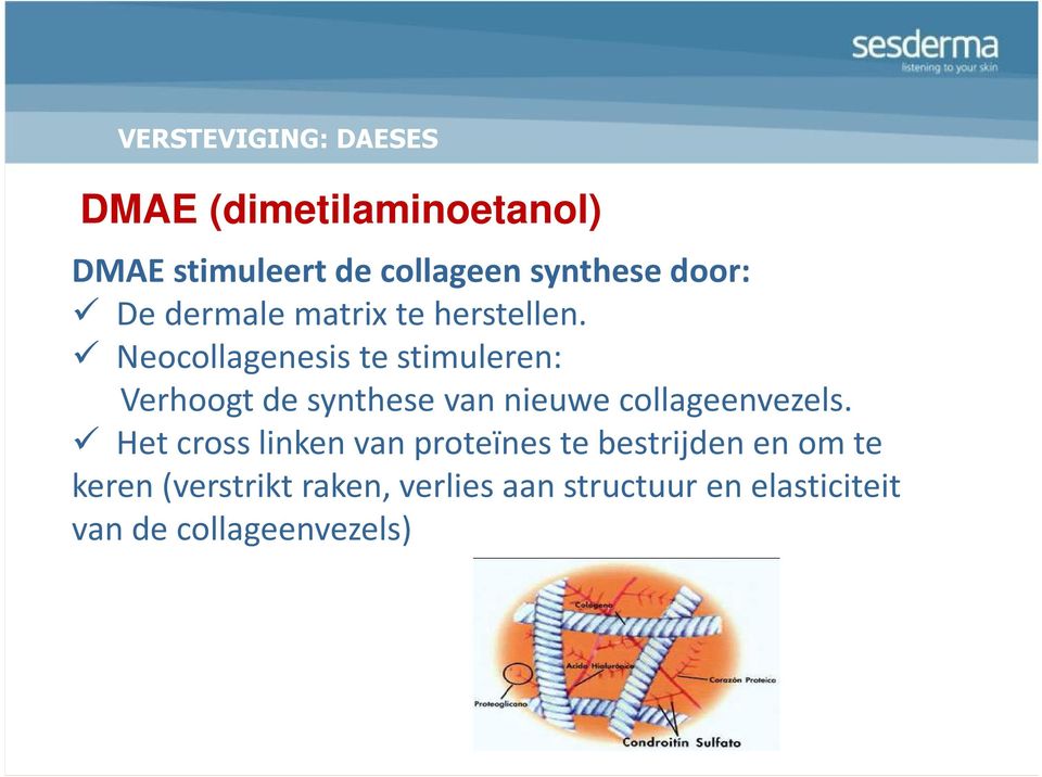 Neocollagenesis te stimuleren: Verhoogt de synthese van nieuwe collageenvezels.