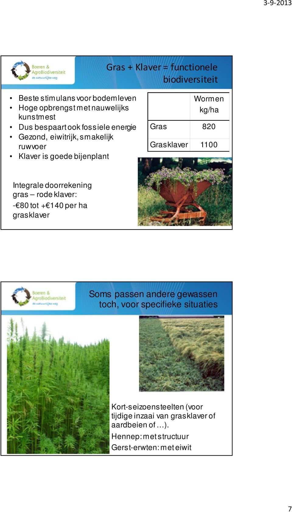 1100 Integrale doorrekening gras rode klaver: - 80 tot + 140 per ha grasklaver Soms passen andere gewassen toch, voor