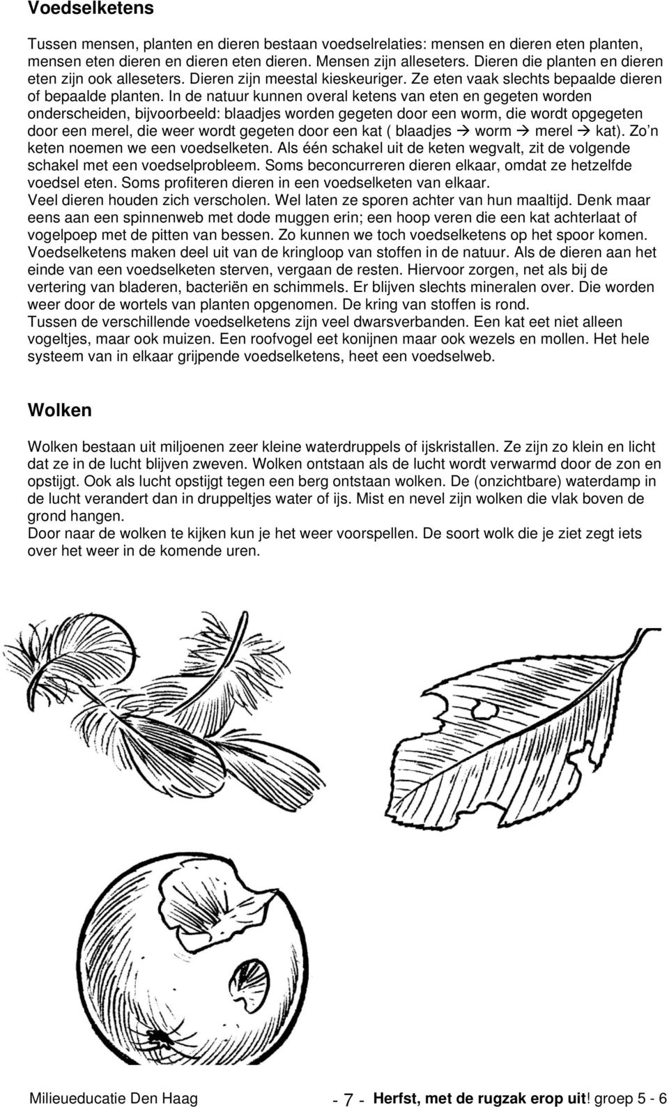 In de natuur kunnen overal ketens van eten en gegeten worden onderscheiden, bijvoorbeeld: blaadjes worden gegeten door een worm, die wordt opgegeten door een merel, die weer wordt gegeten door een