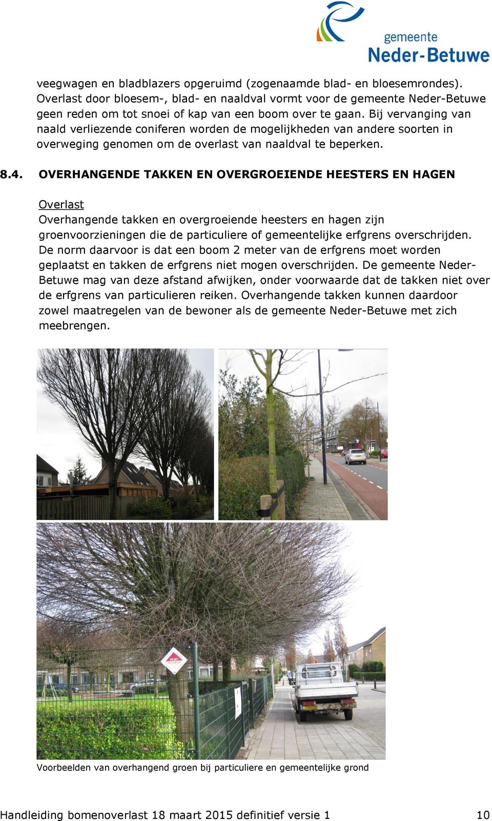 OVERHANGENDE TAKKEN EN OVERGROEIENDE HEESTERS EN HAGEN Overhangende takken en overgroeiende heesters en hagen zijn groenvoorzieningen die de particuliere of gemeentelijke erfgrens overschrijden.