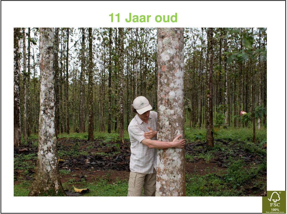 Jaar oud