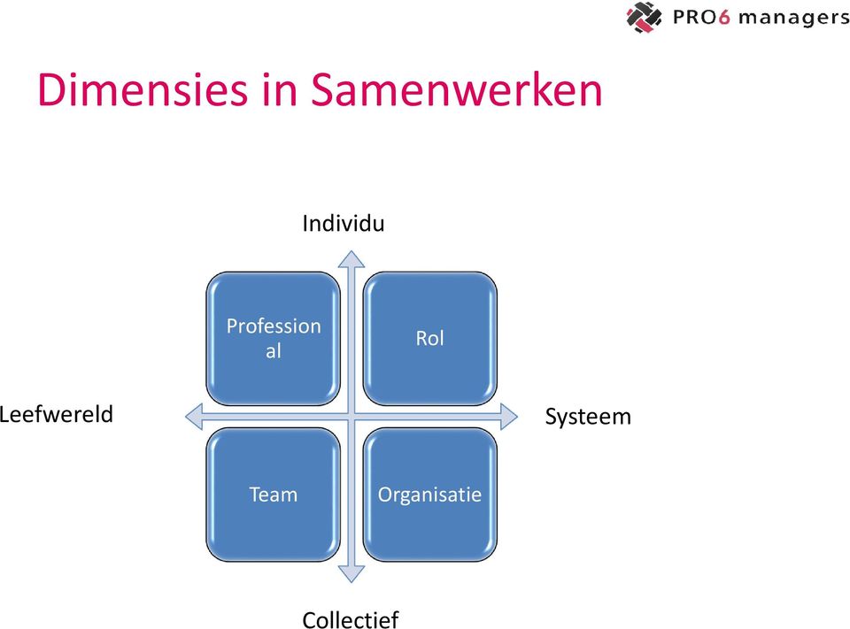 Rol Leefwereld Systeem