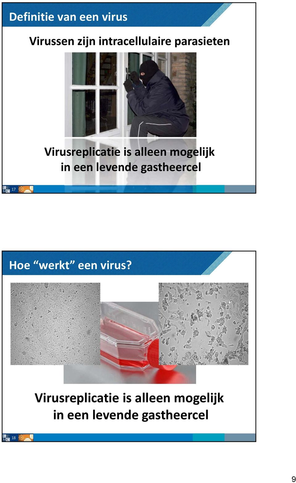 levende gastheercel 17 Hoe werkt een virus?