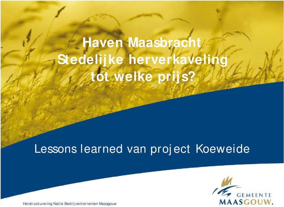Lessons learned van project Koeweide