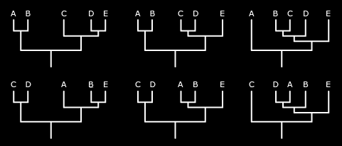 Antwoorden Verwerking Stap 1 Opdracht 3 Het begrip clade Opdracht 4 Verwantschap Opdracht 5 Afstamming a. b. II. nee I.