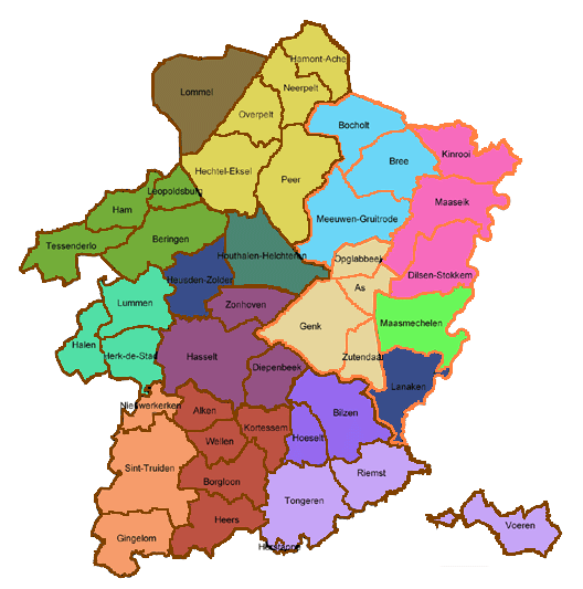 PLAATSELIJKE OVERLEGPLATFORMS IN KAART GEBRACHT SEL HASSELT Beringen Bilzen-Hoeselt Borgloon Hasselt Herk-de-Stad Heusden-Zolder