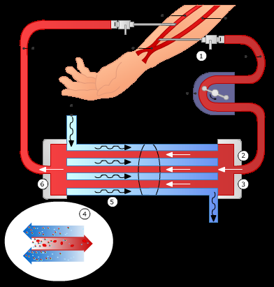 6 In de schematische afbeelding van een kunstnier zie je dat de dialysevloeistof tegen de stroomrichting van het bloed in gaat.