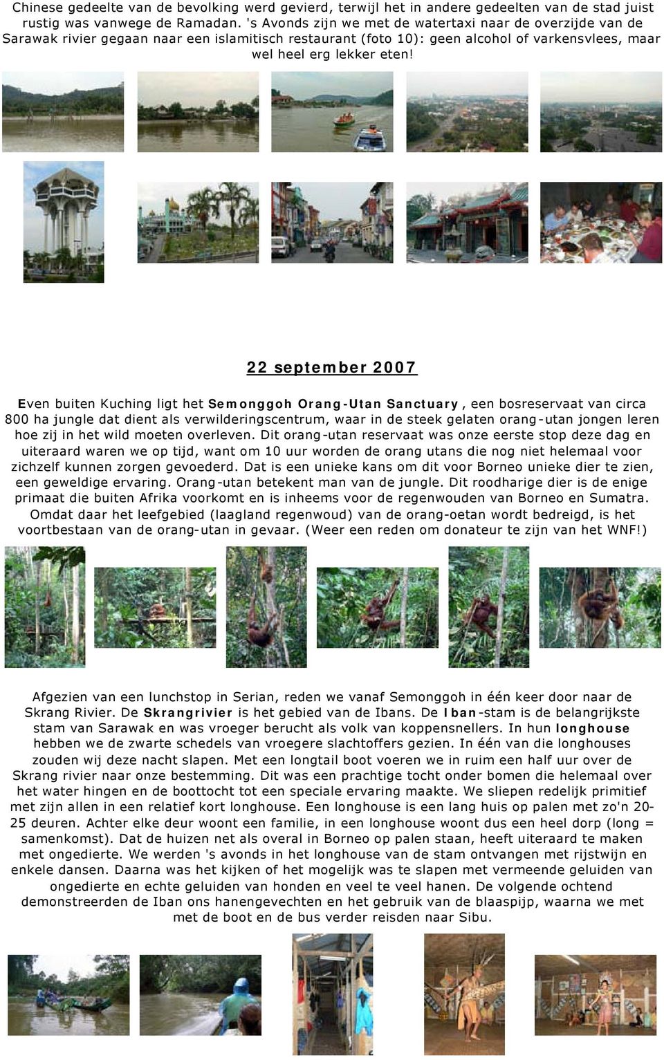 22 september 2007 Even buiten Kuching ligt het Semonggoh Orang-Utan Sanctuary, een bosreservaat van circa 800 ha jungle dat dient als verwilderingscentrum, waar in de steek gelaten orang-utan jongen