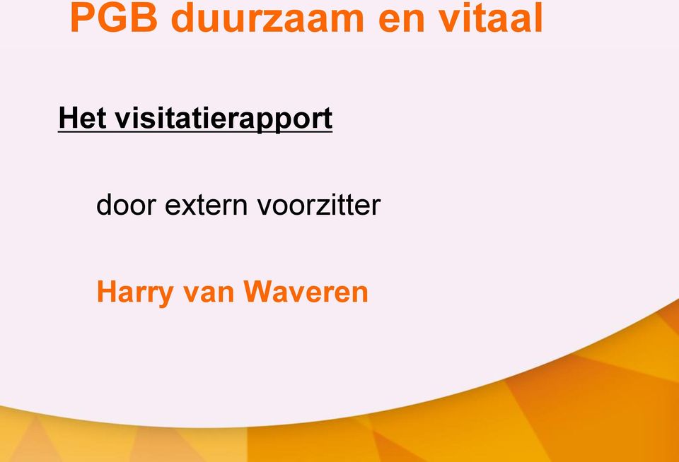 visitatierapport