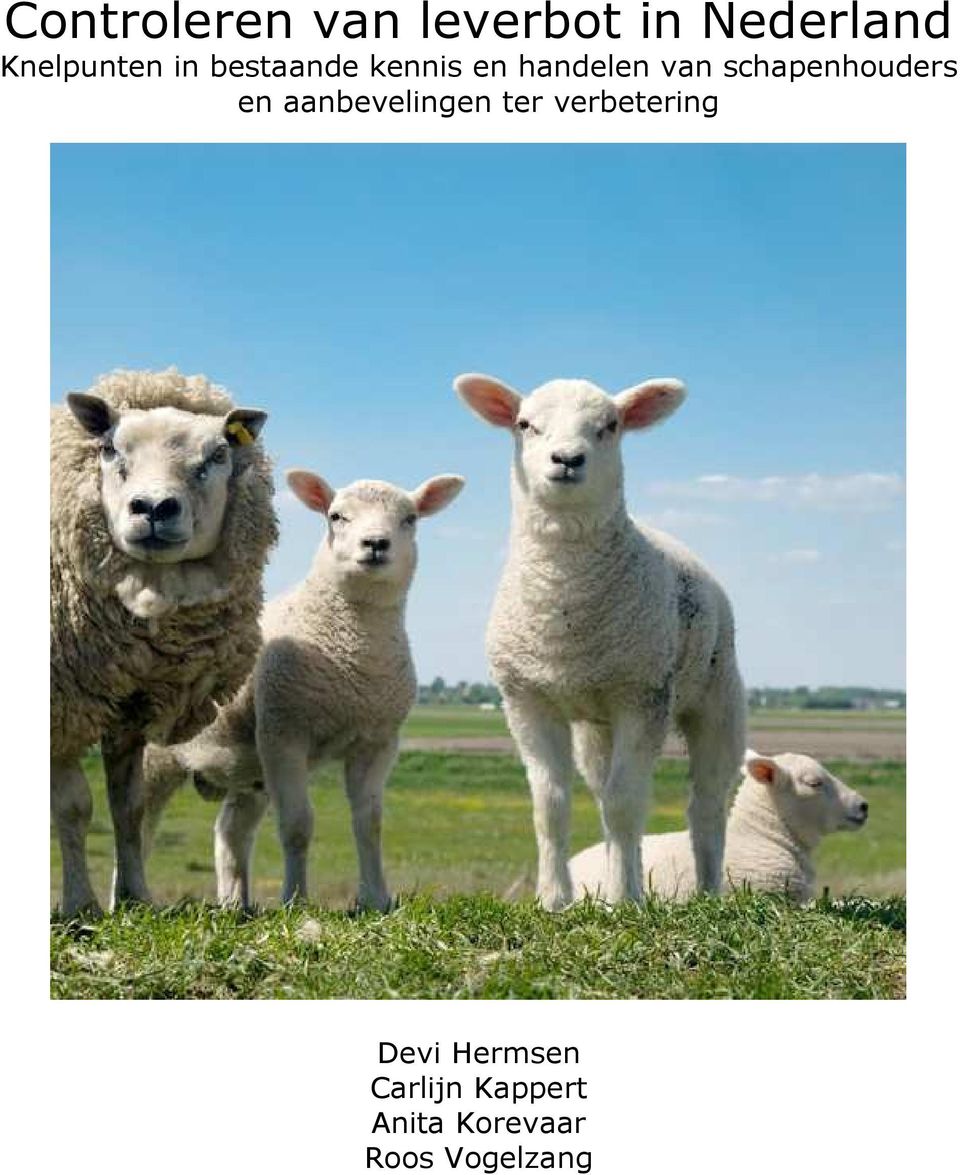 schapenhouders en aanbevelingen ter verbetering
