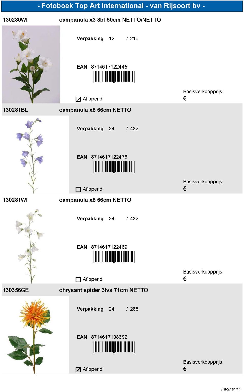 [7B4GB7='((*-,] 130281WI campanula x8 66cm NETTO 24 / 432 8714617122469