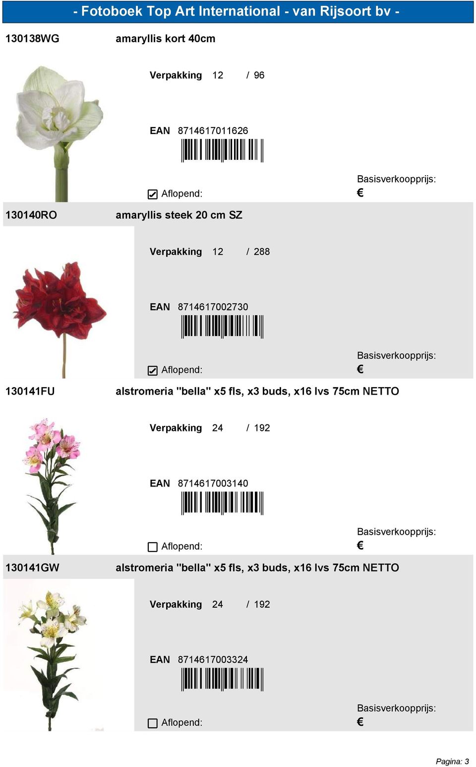 fls, x3 buds, x16 lvs 75cm NETTO 24 / 192 8714617003140 [7B4GB7=&&)'*&] 130141GW