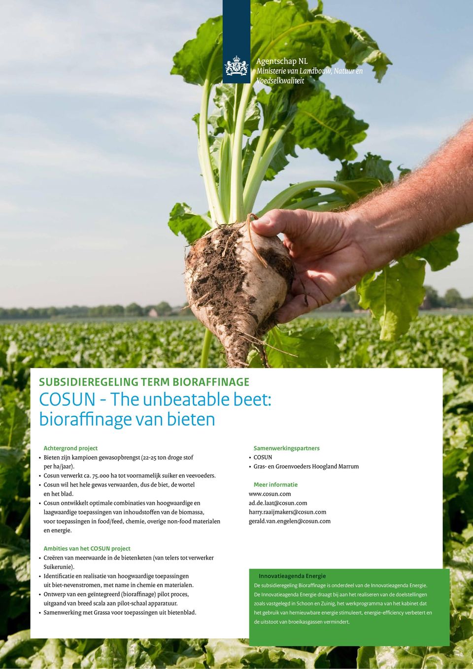 Cosun ontwikkelt optimale combinaties van hoogwaardige en laagwaardige toepassingen van inhoudstoffen van de biomassa, voor toepassingen in food/feed, chemie, overige non-food materialen en energie.