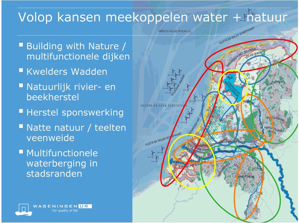 Natuurlijk rivier- en beekherstel Herstel sponswerking