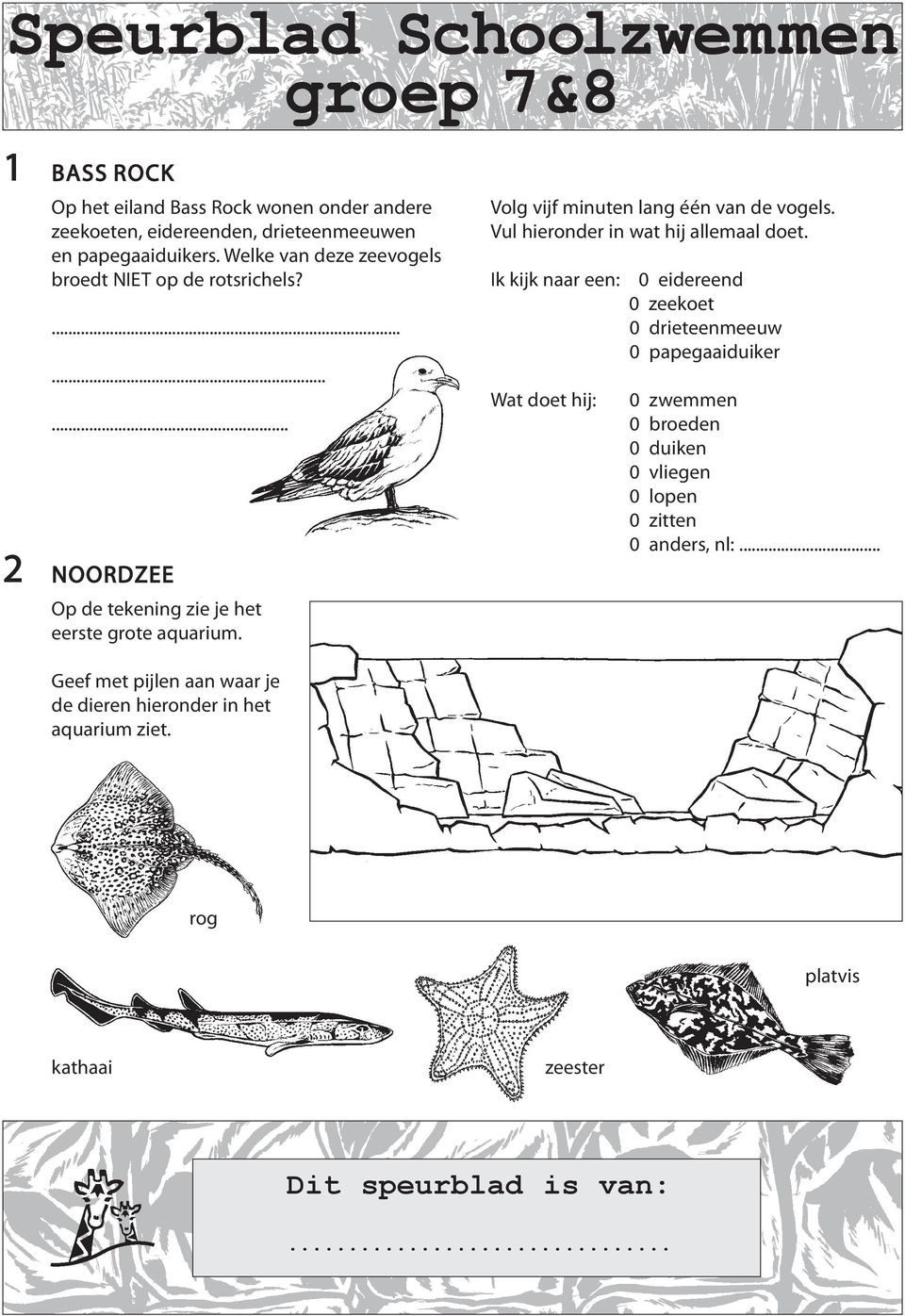 Volg vijf minuten lang één van de vogels. Vul hieronder in wat hij allemaal doet.