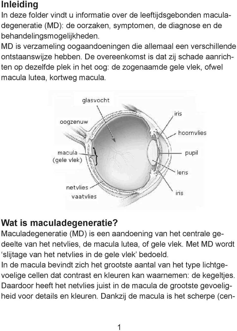 De overeenkomst is dat zij schade aanrichten op dezelfde plek in het oog: de zogenaamde gele vlek, ofwel macula lutea, kortweg macula. Wat is maculadegeneratie?