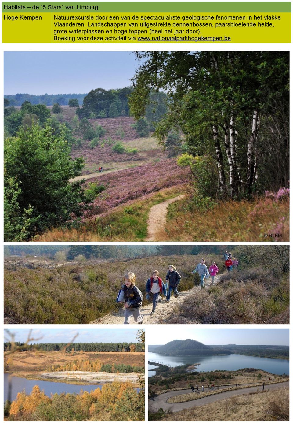 Landschappen van uitgestrekte dennenbossen, paarsbloeiende heide, grote