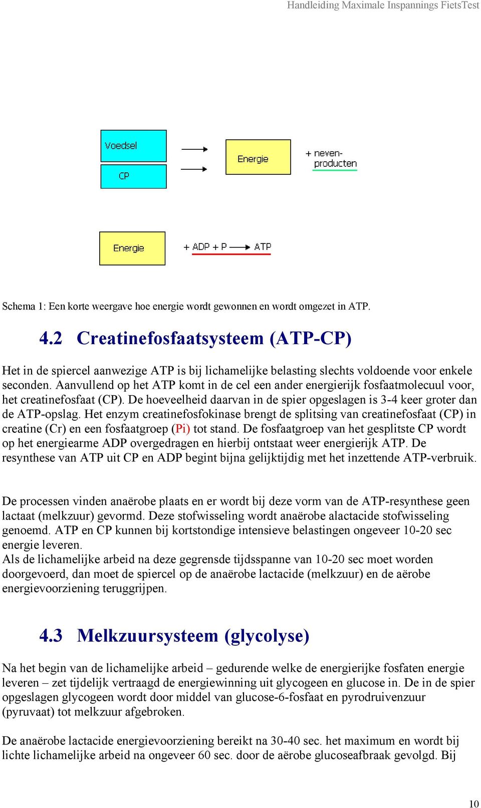 Aanvullend op het ATP komt in de cel een ander energierijk fosfaatmolecuul voor, het creatinefosfaat (CP). De hoeveelheid daarvan in de spier opgeslagen is 3-4 keer groter dan de ATP-opslag.