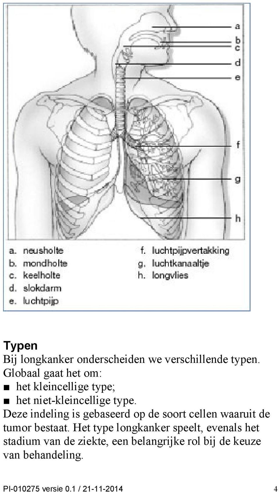 Deze indeling is gebaseerd op de soort cellen waaruit de tumor bestaat.