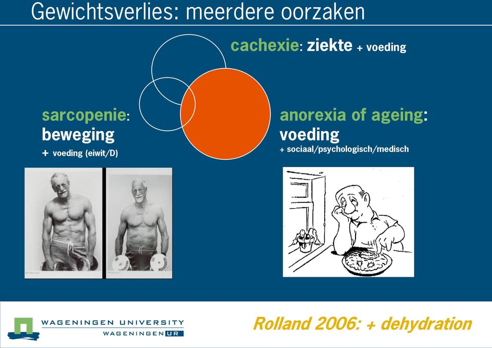 (eiwit/d) anorexia of ageing: voeding +