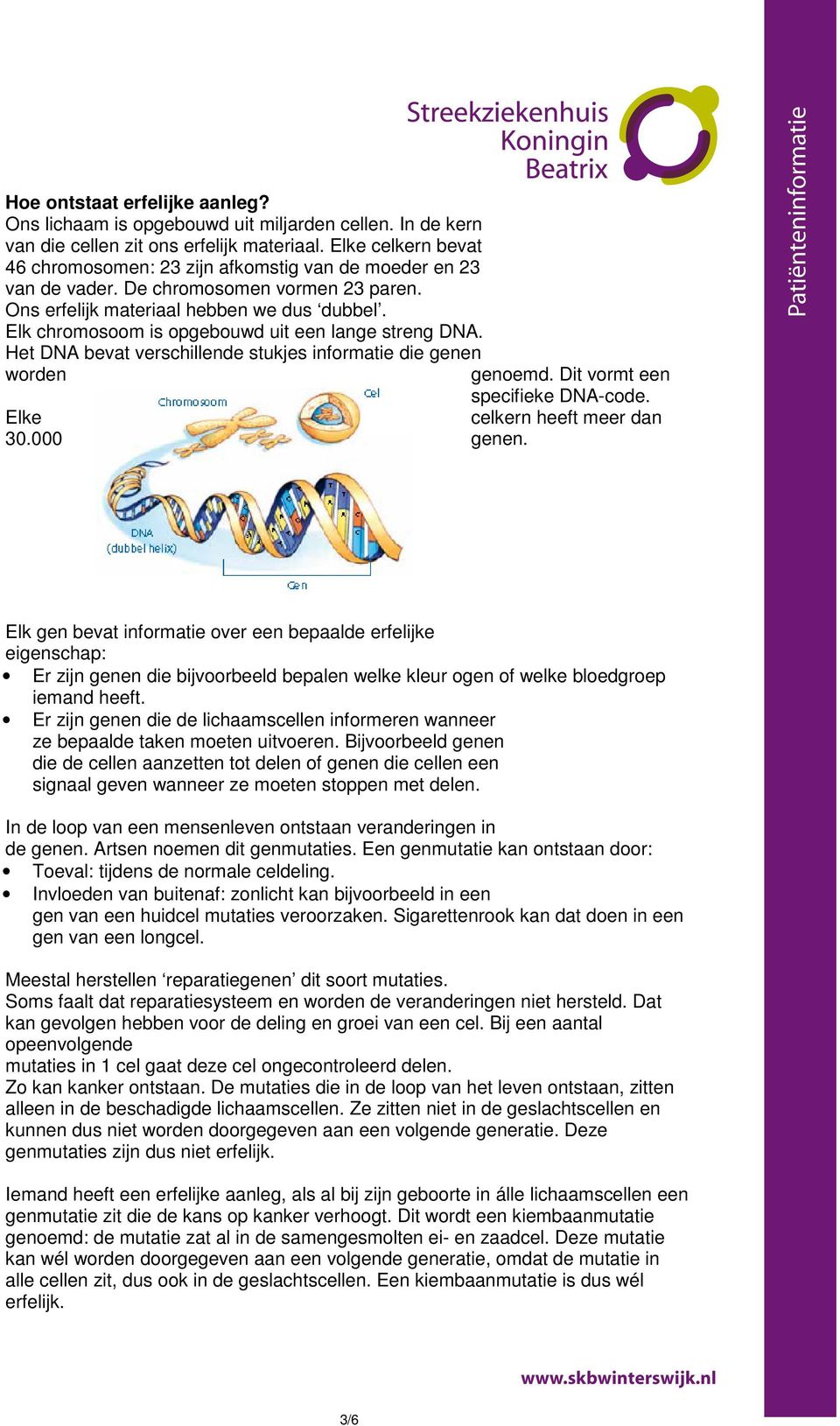 Elk chromosoom is opgebouwd uit een lange streng DNA. Het DNA bevat verschillende stukjes informatie die genen worden genoemd. Dit vormt een specifieke DNA-code. Elke celkern heeft meer dan 30.