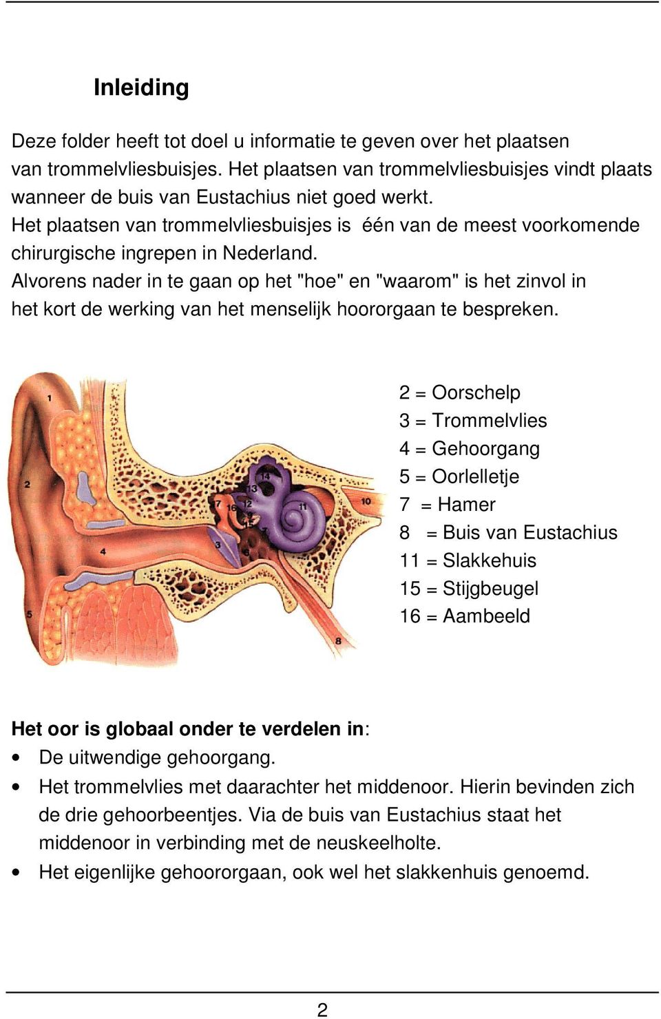 Alvorens nader in te gaan op het "hoe" en "waarom" is het zinvol in het kort de werking van het menselijk hoororgaan te bespreken.