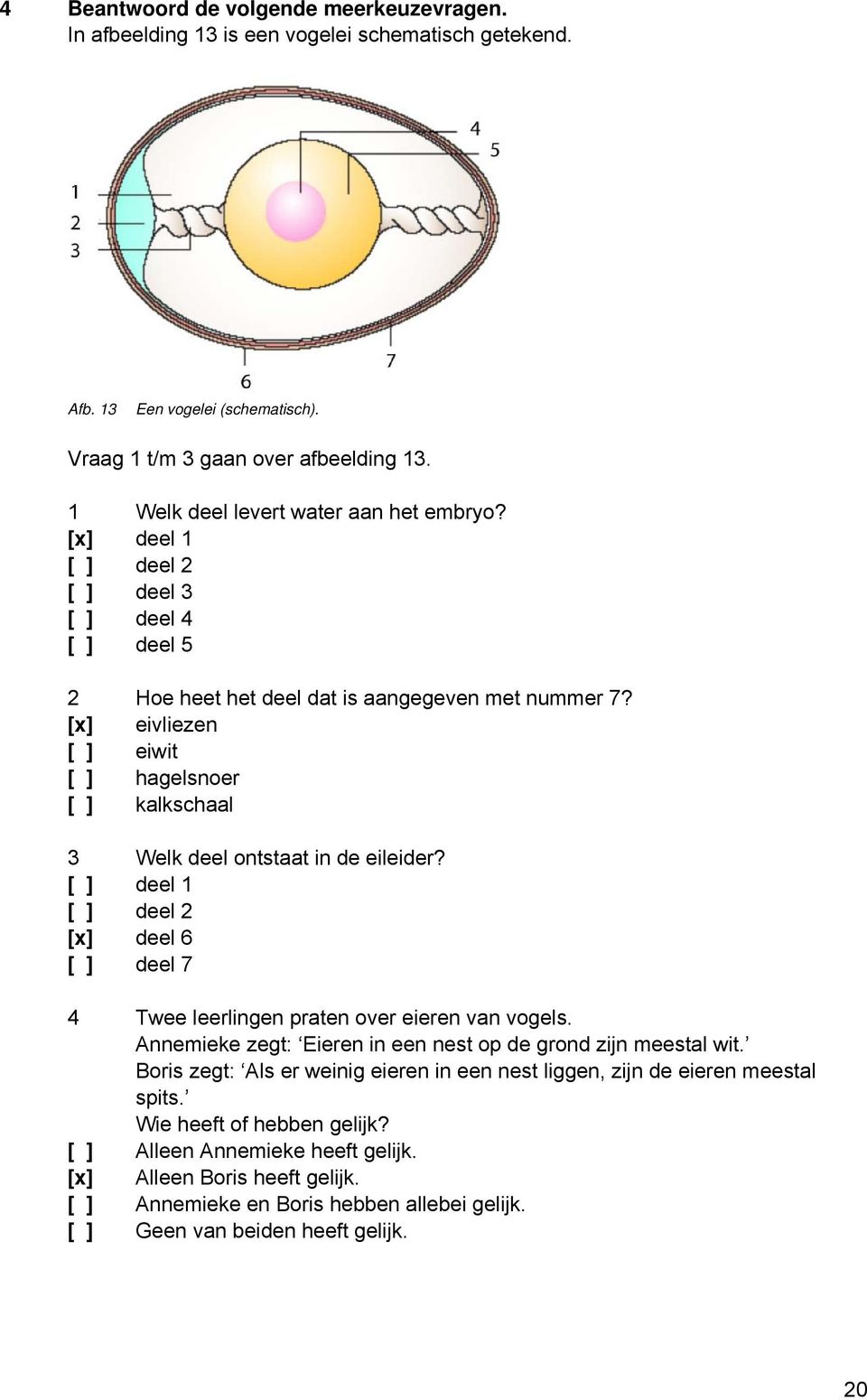 [] eivliezen [ ] eiwit [ ] hagelsnoer [ ] kalkschaal 3 Welk deel ontstaat in de eileider? [ ] deel 1 [ ] deel 2 [] deel 6 [ ] deel 7 4 Twee leerlingen praten over eieren van vogels.