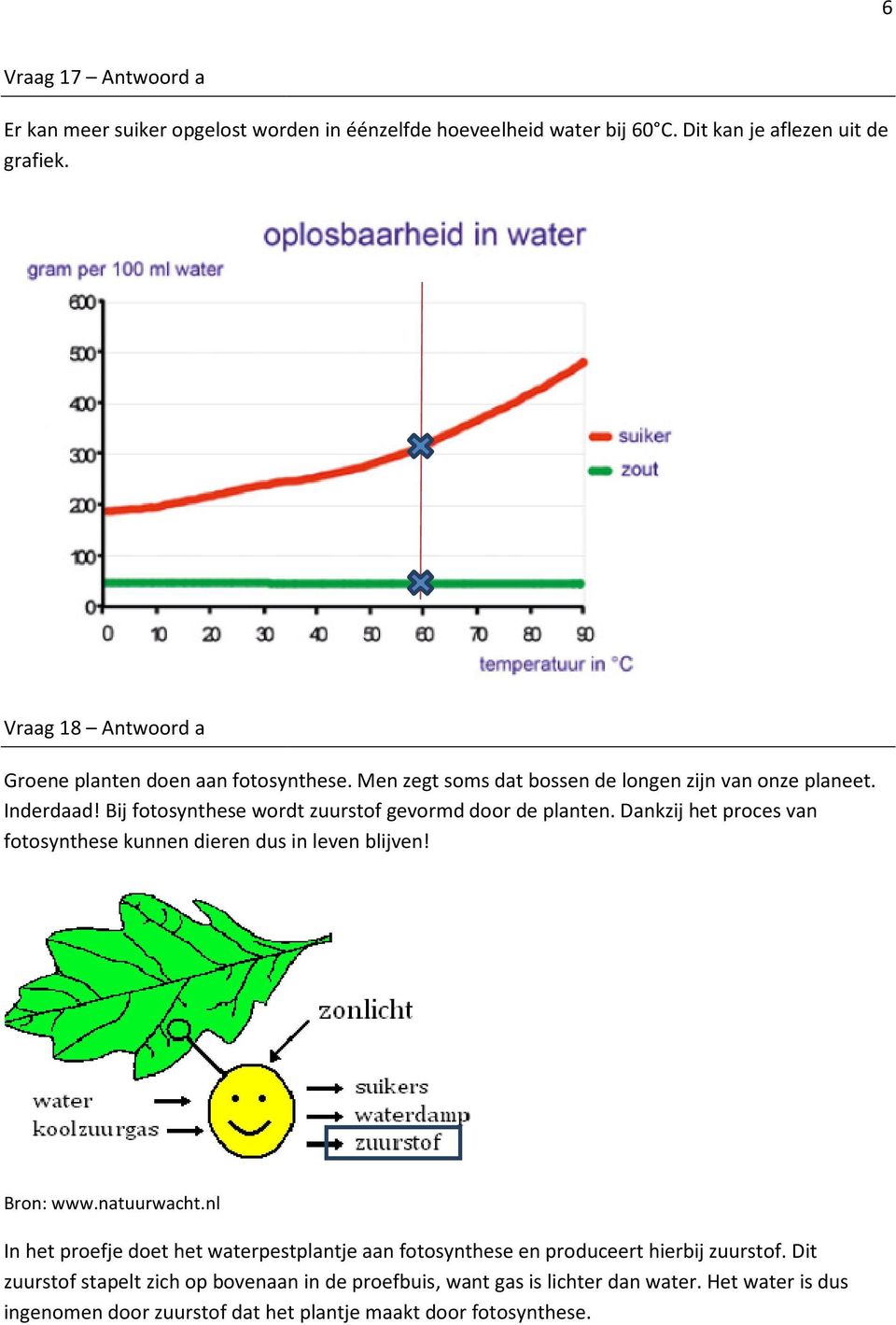 Bij fotosynthese wordt zuurstof gevormd door de planten. Dankzij het proces van fotosynthese kunnen dieren dus in leven blijven! Bron: www.natuurwacht.