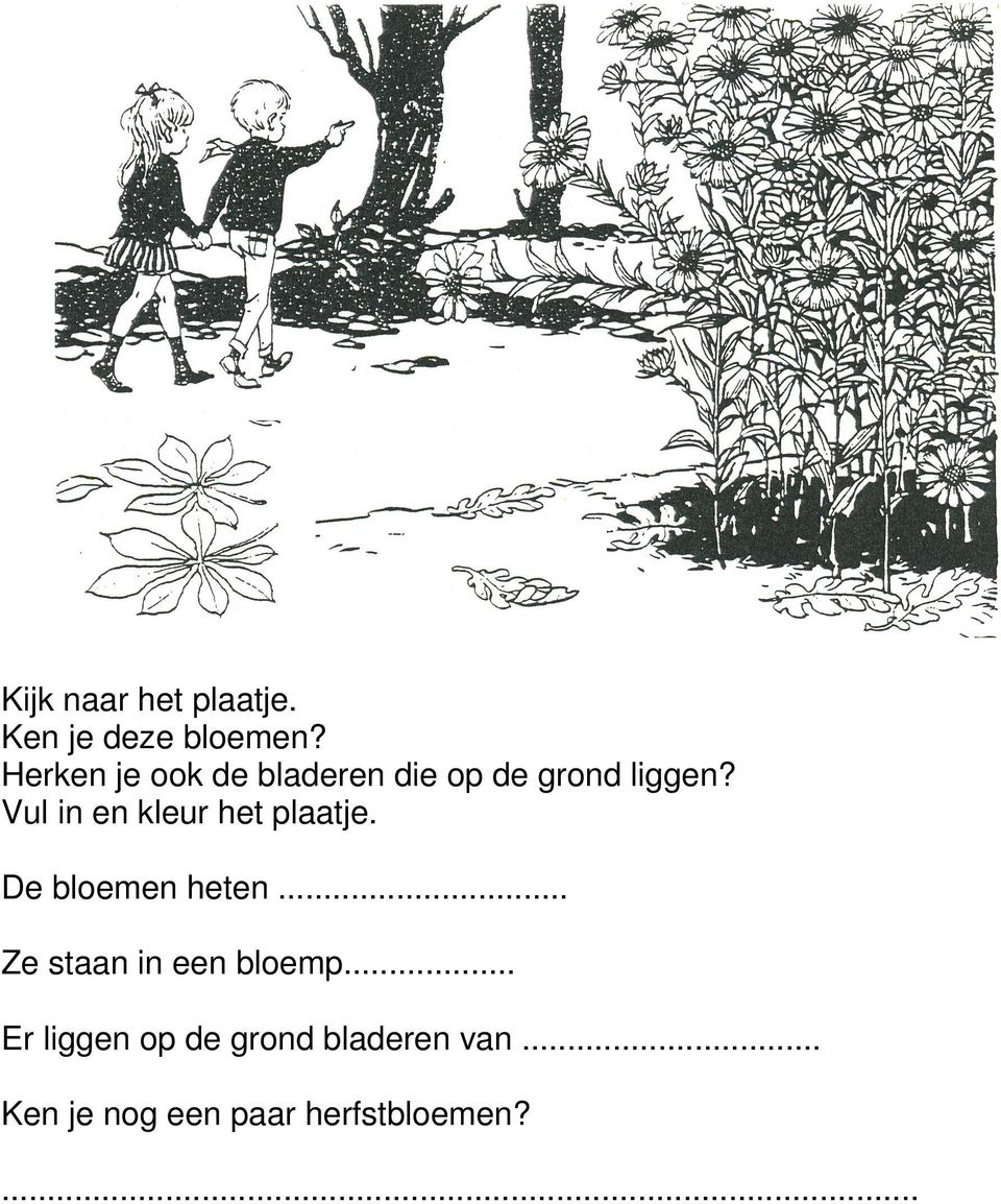 Vul in en kleur het plaatje. De bloemen heten.